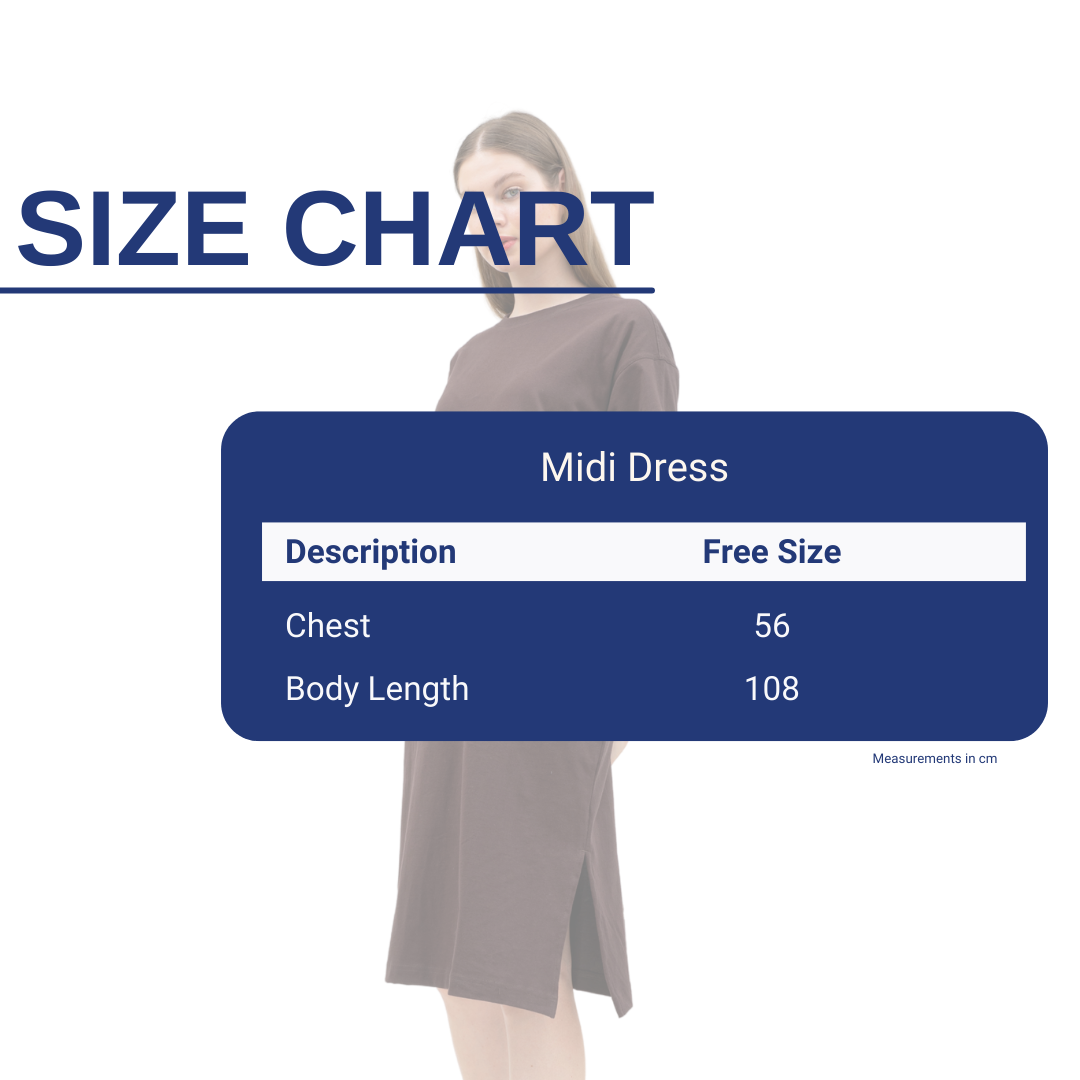 IRO Basic Midi Dress Brown Size Chart